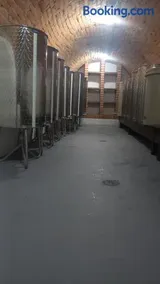 Casa Wylak Winery - Image 3