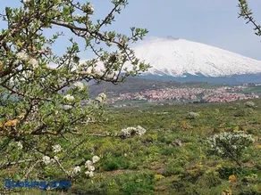 Pavone Etna house - Image 2