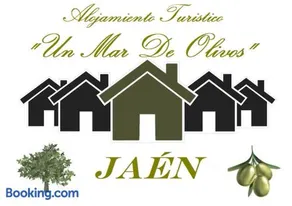 Alojamiento Turístico Un Mar De Olivos Jaén - Image 2
