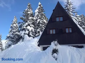 Baita Giggia sulle piste - Cavalese in Trentino Alto Adige cottage chalet - Image 1