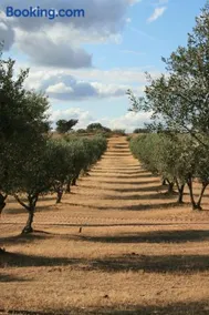 Herdade do Monte Outeiro - Turismo Rural - Image 4
