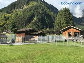 Pony-Ziegen-Hasen-Ranch Bichlbach - Image 4