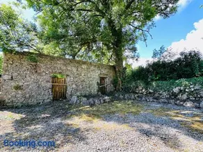 Knockma Forest Cottage - Image 4
