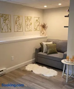 New Flat Near Boston and Gillette Stadium for World Cup - Image 4