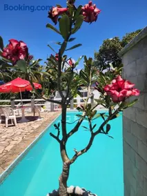 Solange apartment-Casa em Ilheus-Olivença - Image 4