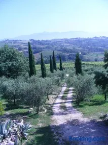 Casale Nido dell'Aquila - Image 2
