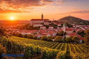 Merlot Mikulov - Image 3