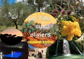 La Villa aux Oliviers - Image 3