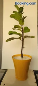 AS Hospedagem - Image 3