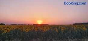 Les Fleurs de La Brise - Image 2