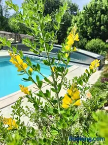 La parenthèse bucolique Gîte - Image 3