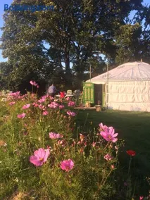 Crazy Pheasant - North Wales - Luxury Mongolian Yurt and Hot Yub - Seclusion and Privacy - Digital Detox - Image 1