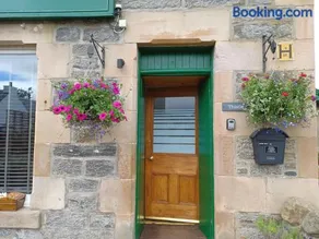 Craiglea Thistle - Image 4