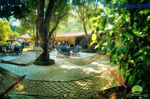 Chitwan Gaida Lodge - Animal Lovers & Birdwatchers Paradise - Image 5
