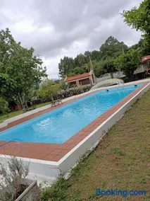 LA CAMELIA - Image 4