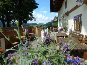 Gasthof Steinbräu - Image 3