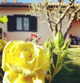 Residence Ai Campi Da Golf Saturnia - Image 2