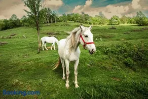 RoVillage România - Image 4