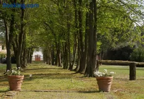 B&B FETONTE - Image 4