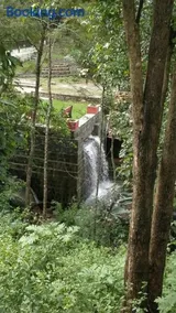 Enchanting woods Yercaud - Image 5