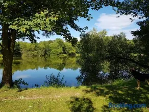 Chalet "Waldhauszeit" am See - Image 3