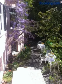 Garden Studio Apartment Zürichberg - Image 1