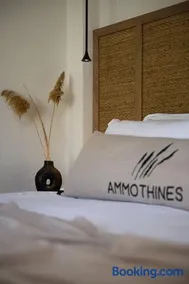 Ammothines Beach Suites - Image 1