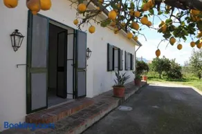 La casa tra i limoni di Rosmarino Park IT083O84B59CP6PX5J - Image 5