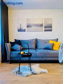 Alyvų tako studija - Image 3