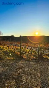 Tenuta Agricola La Cava- Cantina e Agriturismo - Image 4