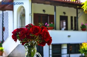 Ianthi House - Image 1