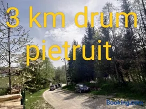 Poiana Sașilor - Valea Doftanei - Image 2