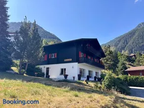 Chalet Blue Spoon - Image 3
