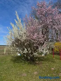 Gästezimmer in Einfamilienhaus mit großem Garten - Image 3