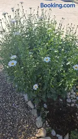 Garden Lily House - Image 4