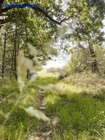 Le Val Suzenay - Image 4