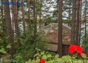Nad Jeziorem Zelwa - Puszcza Augustowska - Image 2