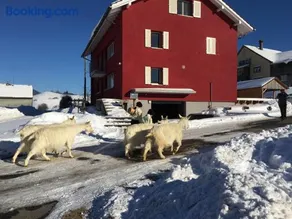 BnB chezlise - Image 5