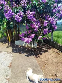 Refugio e Beleza em Extrema MG - Image 2