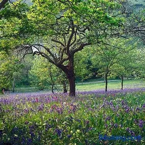 Pencreek - Image 2