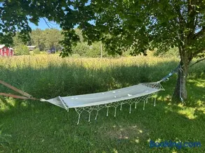 Höga kusten Berghamn - Image 2