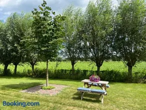 De Weidse Wetering - rust en ruimte in de natuur - Image 1