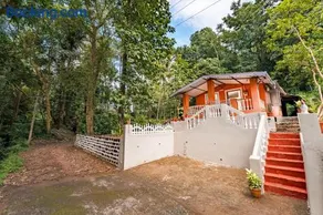 The Treehouse - Image 2