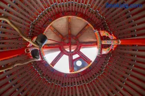 du coq à l'âne - Image 4
