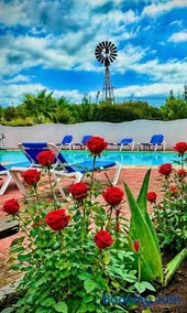 Villa Mediterraneo Rooms Piscina jardin parking - Image 3