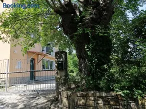 Murva - Image 3