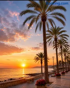Oliver Santiago Mallorca - Image 5
