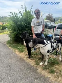 La Corte dei Celti La fonte - Image 1