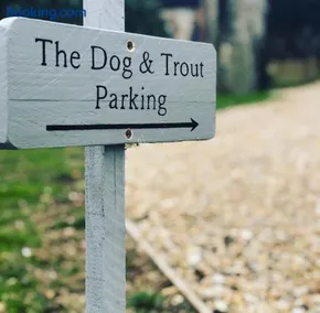 The Dog and Trout - Image 2