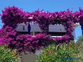 Achladies Beach Apartment - Image 1